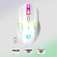 EMPIRE GAMING - Armor RF800 bezdrátová dobíjecí QWERTY klávesnice a myš (italské rozložení) - bezdrátová klávesnice 2.4G RGB - m