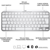 Klávesnice MX KEYS Mini F. MAC WRLS Illum. WRLS Pale Grey - ESP - MEDITER