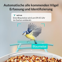 Krmítko pro ptáky BIRDFY s kamerou, domeček pro ptáky s kamerou, krmné stanice pro volně žijící ptáky, automatické nahrávání