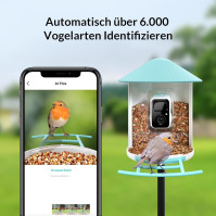 Krmítko pro ptáky BIRDFY s kamerou, domeček pro ptáky s kamerou, krmné stanice pro volně žijící ptáky, automatické nahrávání