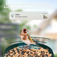 SOLIOM BF08 ptačí budka s kamerou, ptačí krmítko s možností nahrávání videa, WiFi kamera Smart Bird Feeder s napájením