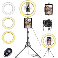 Daphomeu Ring Light s trojnožkovým stativem a držákem na telefon, 10" LED selfie Ring Light 3 režimy barev a 10 jasů dvo