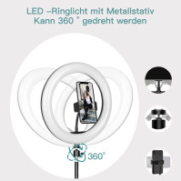 Daphomeu Ring Light s trojnožkovým stativem a držákem na telefon, 10" LED selfie Ring Light 3 režimy barev a 10 jasů dvo