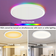 Birnetek® Stropní svítidlo 24 W, LED stropní svítidlo, kulaté 2700 K-6500 K, RGB, stmívatelné, kompatibilní s Alexa, Google Home