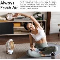 Litmor Air Circulator - Přenosný ventilátor, tichý ventilátor na spaní, stejnosměrný motor, výkonný, energeticky úsporný