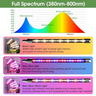 COKOLILA Plant Lamp Led, 80W Grow Light se stojanem Tripod, 4 hlavy Plant Light s časovačem 4/8/12H, Grow Lamp Full Spectrum 360