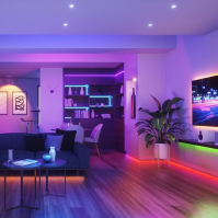 Alexa LED Strip 30m,Wifi LED Strip RGB LED Stripes LED Fairy Lights Synchronizace hudby,Tuya App Works with Google Assistant, LE