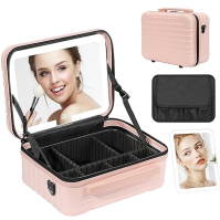 Deciniee Makeup Bag with LED Mirror, Travel Vanity Case with 3 Lighting Modes, Large Capacity Detachable PC Waterproof Cosmetic 