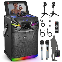 DSP Bluetooth karaoke stroj se 2 mikrofony pro venkovní párty, přenosný PA systém s 6,5" subwooferem, hudební box USB-C s podpor