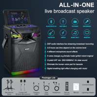 DSP Bluetooth karaoke stroj se 2 mikrofony pro venkovní párty, přenosný PA systém s 6,5" subwooferem, hudební box USB-C s podpor