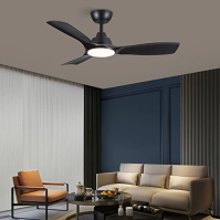 CJOY Stropní ventilátor s osvětlením, Stropní ventilátor s dálkovým ovládáním Tichý černý 107 cm, DC motory Stmívatelný, 6 rychl