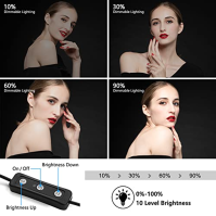 2 balení 70 LED video světel se stativovým stojanem / barevnými filtry, Obeamiu 5600K USB Studio Lights Shooting Kit pro fotogra