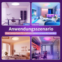 OMECO LED stropní svítidlo RGB Alexa LED stropní svítidlo Stmívatelné s dálkovým ovládáním 24W 2000LM 6500K 30cm Kulaté LED stro