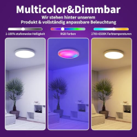 OMECO LED stropní svítidlo RGB Alexa LED stropní svítidlo Stmívatelné s dálkovým ovládáním 24W 2000LM 6500K 30cm Kulaté LED stro