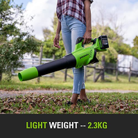 Greenworks Tools Akumulátorový foukač 2 x 24 V elektrický akumulátorový vysavač listí s lithiovou baterií a nabíječkou