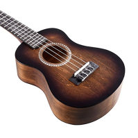 Winzz Ukulele Concert 23 palců hnědé, sada ukulele pro začátečníky pro dospělé děti, jedinečný barevný design