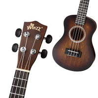 Winzz Ukulele Concert 23 palců hnědé, sada ukulele pro začátečníky pro dospělé děti, jedinečný barevný design