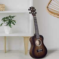 Winzz Ukulele Concert 23 palců hnědé, sada ukulele pro začátečníky pro dospělé děti, jedinečný barevný design