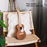 Winzz Ukulele pro začátečníky, koncertní ukulele 23 palců, dětská sada ukulele pro začátečníky s 9 doplňky (barva: hnědá, dřevo)