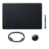 Wacom K100912 Intuos Pro pen tablet velikosti L, grafický tablet (včetně stylusu Wacom Pro Pen 2 s různými hroty, vhodný pro Win