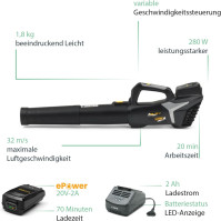 Alpina Soffiatore a Batteria ABL 20 Li Kit, pro čistou a uklizenou zahradu, baterie 20V (4 Ah), 280 W, odnímatelná šetří