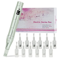 TBPHP M1 Electric Derma Beauty Pen Professional at-Home Kit s 12 ks náhradních kazet (stříbrná)