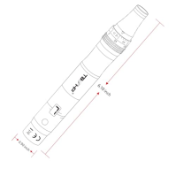 TBPHP M1 Electric Derma Beauty Pen Professional at-Home Kit s 12 ks náhradních kazet (stříbrná)