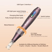 Mikrojehličkové pero A10 Elektrické derma pero s LCD displejem a 5 úrovněmi včetně 22 jehlových kazet Nastavitelné 0-2,5 mm Bezd