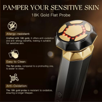 Radiofrekvenční zařízení Face, ANLAN 18K Gold Face Massager proti vráskám 5 v 1 Face Massager EMS Microcurrent Device Face V Fac